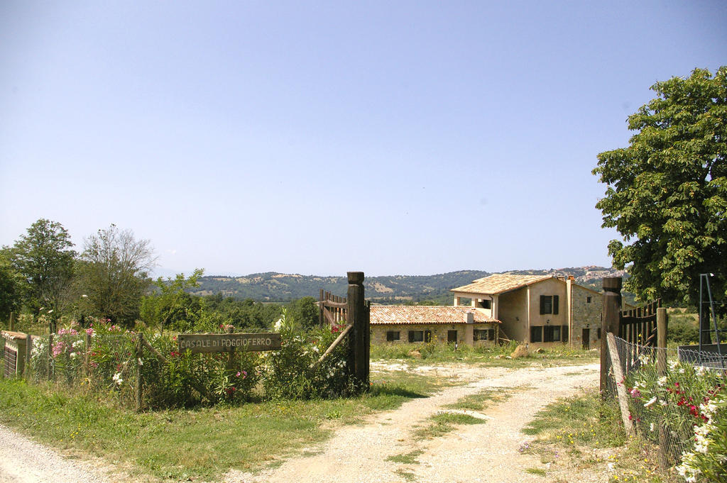 B&B Casale Di Poggioferro Scansano Ngoại thất bức ảnh